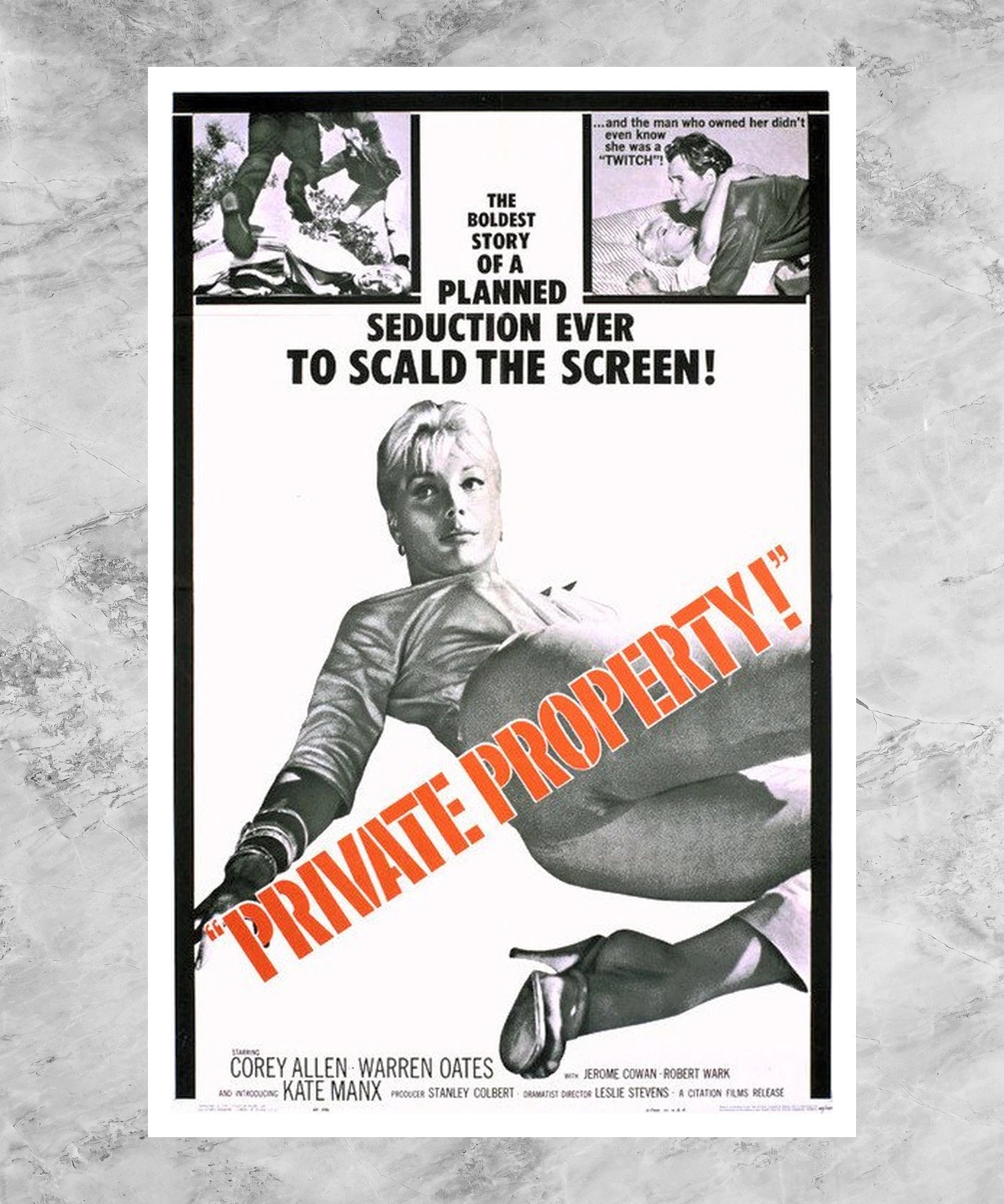Private Property Poster
