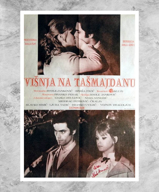 Visnja na Tasmajdanu Poster